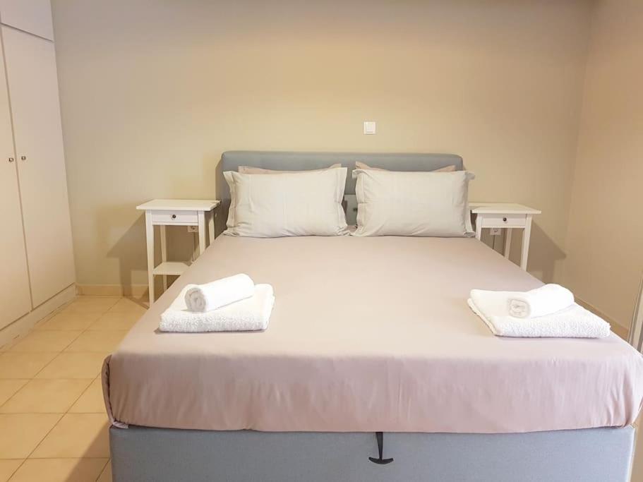Athens Campus Renovated Studio Apartment @ Ilisia Exteriér fotografie