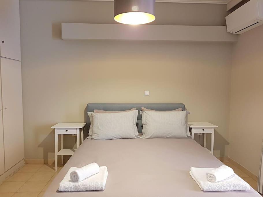 Athens Campus Renovated Studio Apartment @ Ilisia Exteriér fotografie