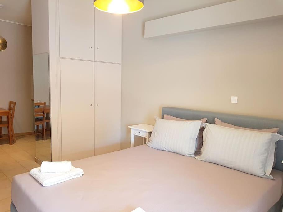 Athens Campus Renovated Studio Apartment @ Ilisia Exteriér fotografie